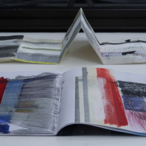 Anne Pesce : La vitesse de la lumière est de 300 000 km/s