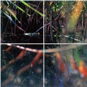 Exposition "Traversées" d'André Pharel à la galerie Depardieu