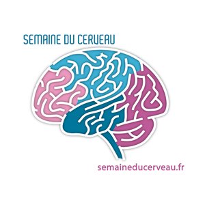 Semaine du cerveau sur la Côte d'Azur du 11 au 17 mars 2013 ?