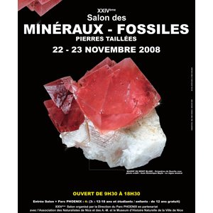 24ème salon des fossiles et minéraux 