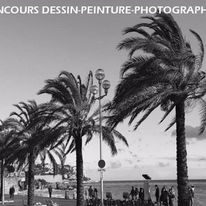 Dessine moi un palmier !