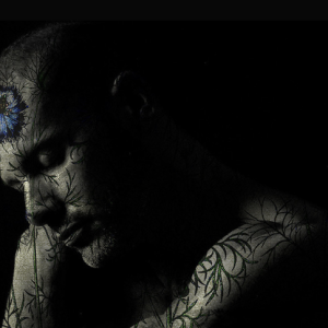 Le photographe plasticien Wyl expose à la librairie Rabelais à Nice