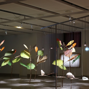 Appel à candidatures Miniartextil pour la 27e édition de l'exposition internationale 