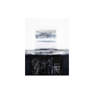 Exposition "Territoires" de France-Noëlle Pellecer