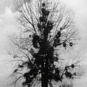 Nice : Second volet de l'exposition "La ligne"