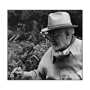 Les photographes de Matisse