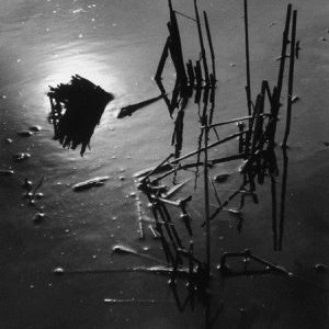 Exposition Lucien Clergue - Ecritures de Lumière / du 3 février au 9 septembre 2013