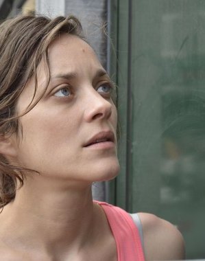 Newsletter du 22 mai 2014