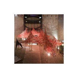 Nice : installation d'Arne Quinze au MAMAC