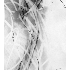 « Vedanta Project », Roland Kraus