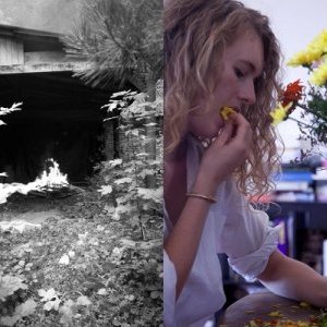 Exposition Une gerbe d'intentions