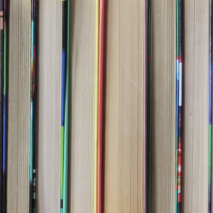 Festival du Livre de Nice : Huit romans en lice pour le 30e Prix « Nice Baie des Anges »