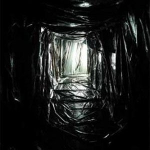 VITRY SUR SEINE : dans le Salon noir d'Angelika Markul 