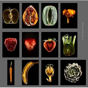 Nice : Exposition photographique "fruits et légumes"