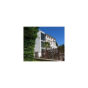 Le Cannet : Misia Reine de Paris au Musée Bonnard