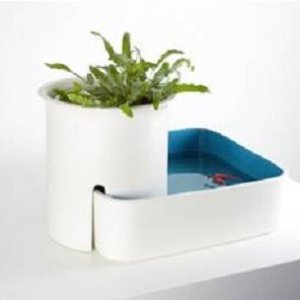 Claude Aïello & les designers