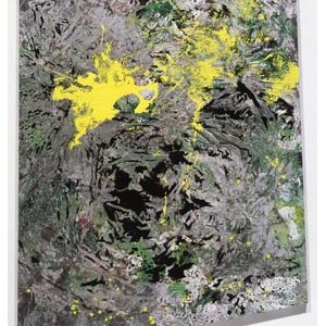 ST ETIENNE - Adrian Schiess 