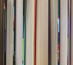 Festival du Livre de Nice : Huit romans en lice pour le 30e Prix « Nice Baie des Anges »