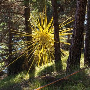 "L'Arboretum Marcel Kroënlein de Roure"