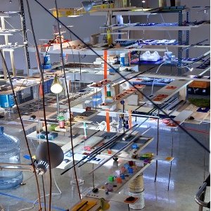 Sarah Sze