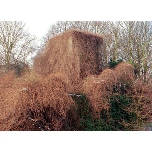 Dominique Ghesquière se joue de la Pièce Aveugle