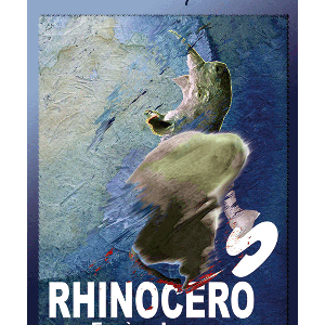 Rhinocéros