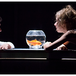 Le poisson belge à Grasse !