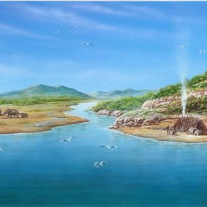 Des préhistoriques à la plage au Musée de Préhistoire Terra Amata