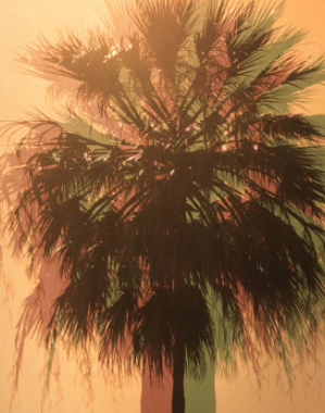 30 septembre 2015 Newsletter