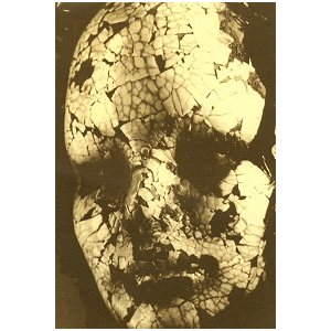 Chronique d'un galeriste