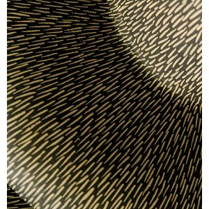 Les galets de la Baie des Anges