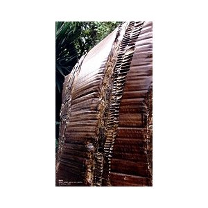 Sur la piste des éléments