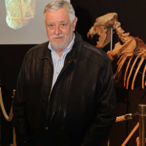 Le Musée d'Anthropologie Préhistorique réouvre !