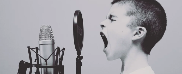 Un Comité Régional des Professions du Spectacle se réunira avant le 10 avril 2021 