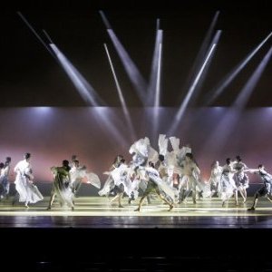 Festival de Danse de Cannes 2015