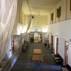 Souheil Salamé, des Cristallisations marines originales