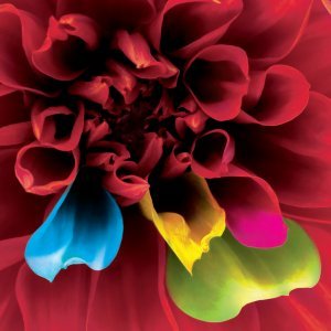 Quatre siècles d'histoire de l'Opéra 