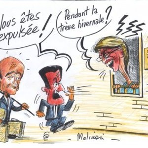 Vu par Molinari…
