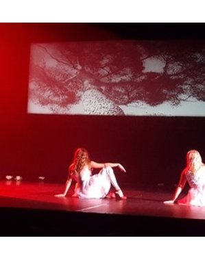 18 novembre 2015 - Newsletter