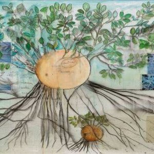 St Paul de Vence : Fabrice Hyber à la fondation Maegth cet automne !