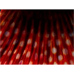 Paris : Le "Best of" de Mathilde de l'Ecotais