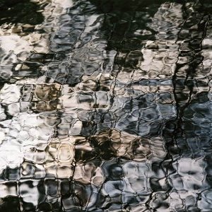 Expo à Grasse : l'eau dans tous ses états