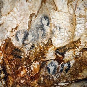 La Grotte Cosquer : Visite dans la préhistoire