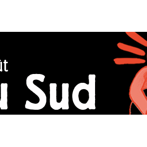 Festival Nuits du Sud : ouverture de la billetterie !