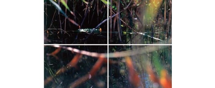 Exposition "Traversées" d'André Pharel à la galerie Depardieu