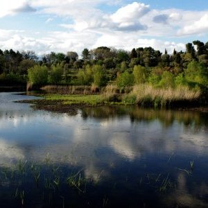 L'étang nous conte ses histoires