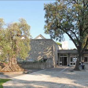 Villa Arson, Profession(s) : artiste(s)