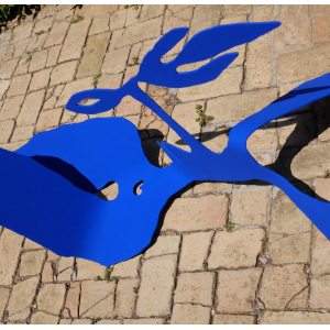 Klein à Cagnes sur Mer