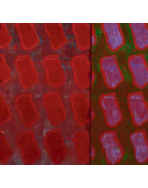 Newsletter du 26 novembre