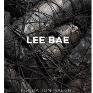 Rencontre dédicace avec Lee Bae et Henri-François Debailleux à la Fondation Maeght